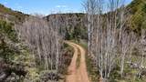 7465 Uncompahgre Divide Road - Photo 32