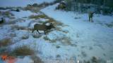 7465 Uncompahgre Divide Road - Photo 38