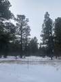 Lot 430 Badger Trail - Photo 10