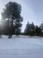 Lot 430 Badger Trail - Photo 11