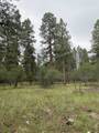 Lot 430 Badger Trail - Photo 3