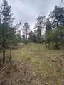 Lot 430 Badger Trail - Photo 4