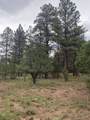 Lot 430 Badger Trail - Photo 9