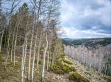 3 Hazel Lake Drive - Photo 14