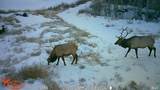 7465 Uncompahgre Divide Road - Photo 40