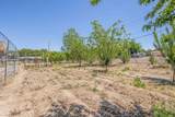 444 Scenic Drive - Photo 42