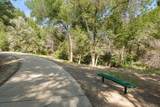 113 Sierra Drive - Photo 25