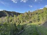 TBD Highway 133 - Photo 10