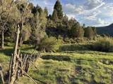 TBD Highway 133 - Photo 11