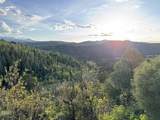 TBD Highway 133 - Photo 12