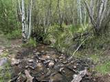 TBD Highway 133 - Photo 14