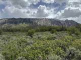 TBD Highway 133 - Photo 15