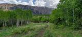 TBD Highway 133 - Photo 4