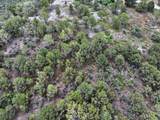 TBD Pine Drive - Photo 16