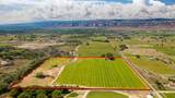 1710 M Road - Photo 12