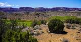 353 High Desert Road - Photo 11