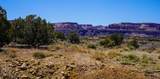 353 High Desert Road - Photo 6