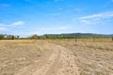 3003 Purdy Mesa Road - Photo 24