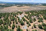 14726 Sage Brush Lane - Photo 10