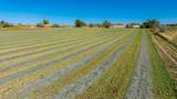 1347 18 1/2 Road - Photo 4