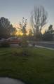 308 Elderberry Drive - Photo 36