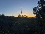 18975 Elk Reserve Road - Photo 25