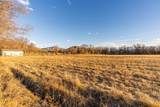 2164 45 1/2 Road - Photo 29