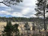 46 Marmot Drive - Photo 10