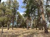 46 Marmot Drive - Photo 11