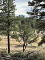 46 Marmot Drive - Photo 12