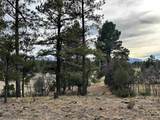 46 Marmot Drive - Photo 13