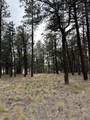 46 Marmot Drive - Photo 2