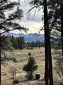 46 Marmot Drive - Photo 3
