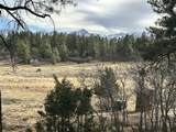 46 Marmot Drive - Photo 4