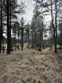46 Marmot Drive - Photo 5