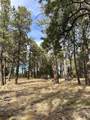46 Marmot Drive - Photo 7