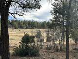 46 Marmot Drive - Photo 8