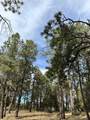 46 Marmot Drive - Photo 9