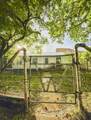 435 Foy Road - Photo 3