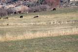 49594 Ke Road - Photo 6