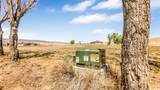 4521 Old Kannah Creek Road - Photo 10