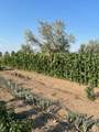 1516 M 3/8 Road - Photo 39