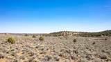TBD Trail Canyon Drive - Photo 23