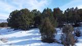 30 Pinon Road West - Photo 6