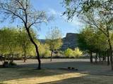 729 Curecanti Circle - Photo 37