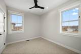 370 Toms Canyon Drive - Photo 16
