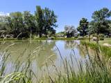 3233 Lakeside Drive - Photo 14