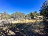 TBD Cactus Park Road - Photo 1