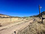 TBD Cactus Park Road - Photo 11