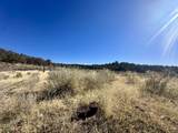 TBD Cactus Park Road - Photo 12